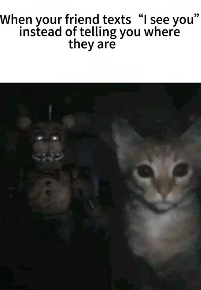Five Nights at Freddy's