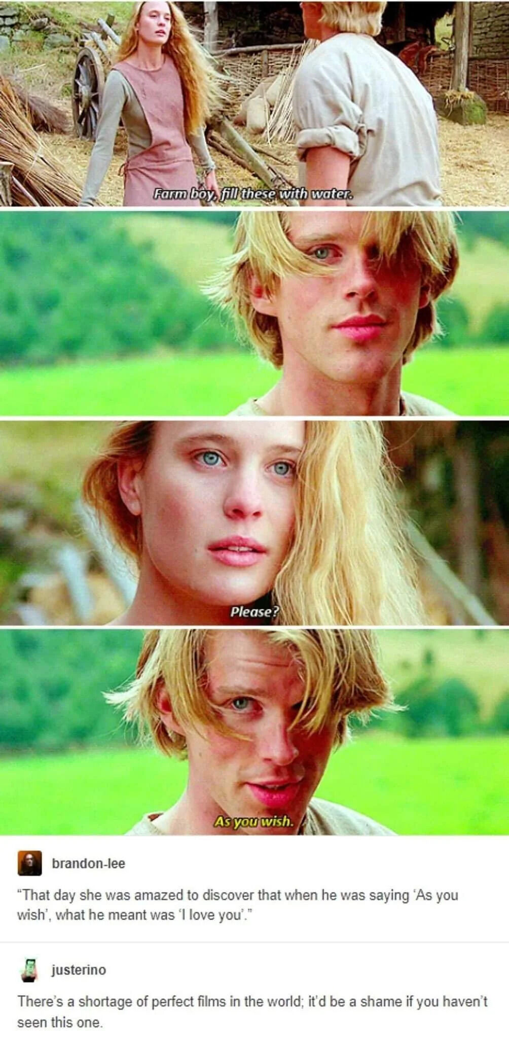 The Princess Bride (1987 film)