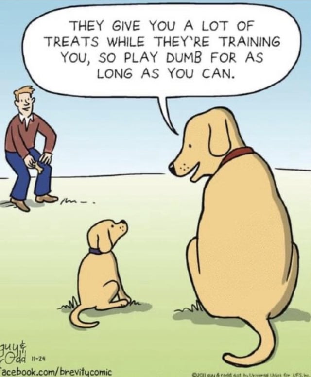 Brevity Comic