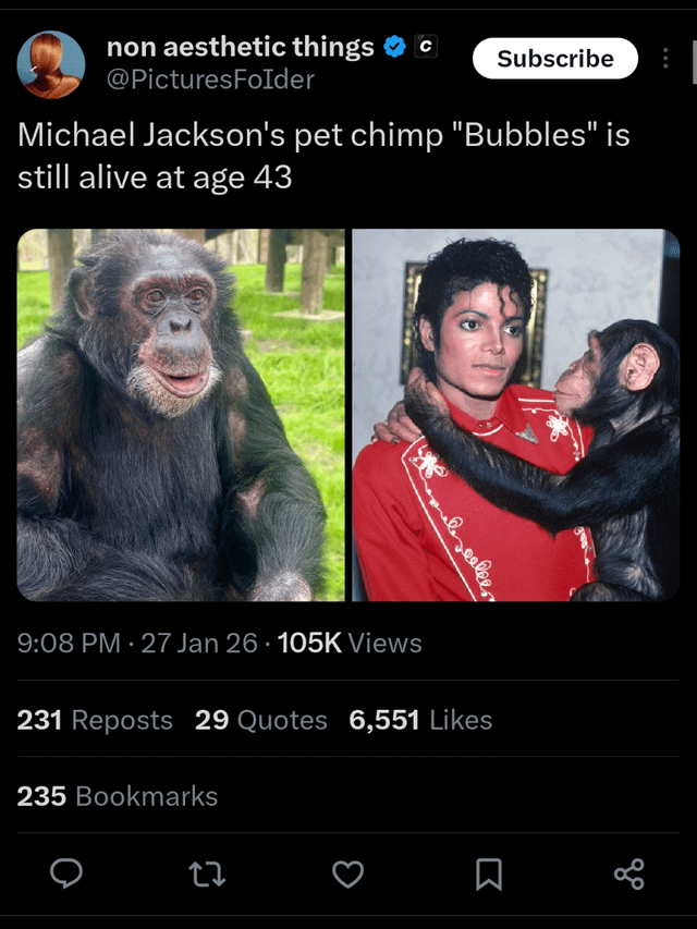 Real Person (Michael Jackson's pet chimp)