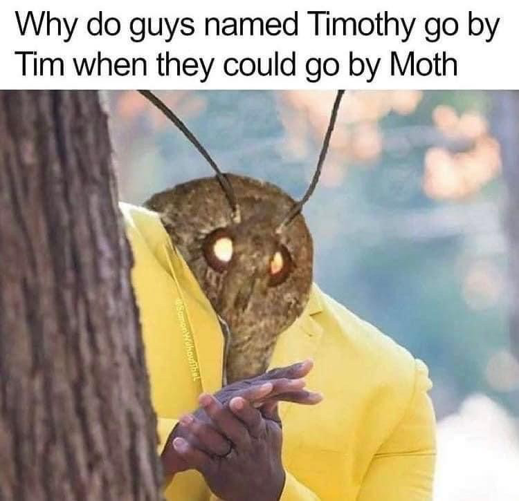 Remixed meme combining peeking yellow suit guy template and moth imagery