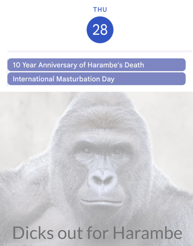 Real life (Cincinnati Zoo western lowland gorilla)
