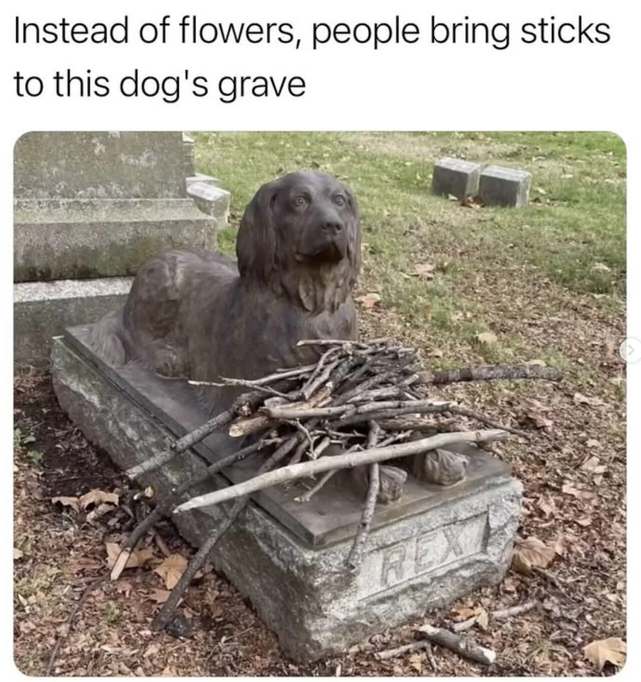 Pet Cemetery Statue