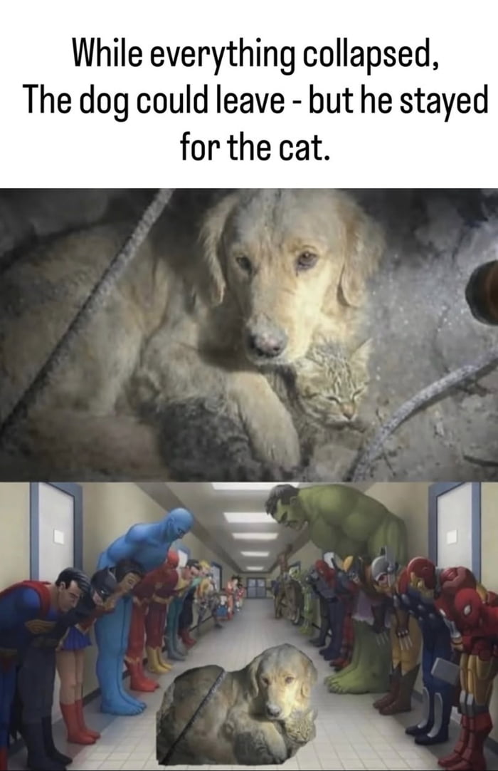DC and Marvel Comic Universes