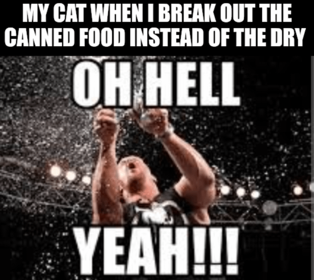 Stone Cold Steve Austin