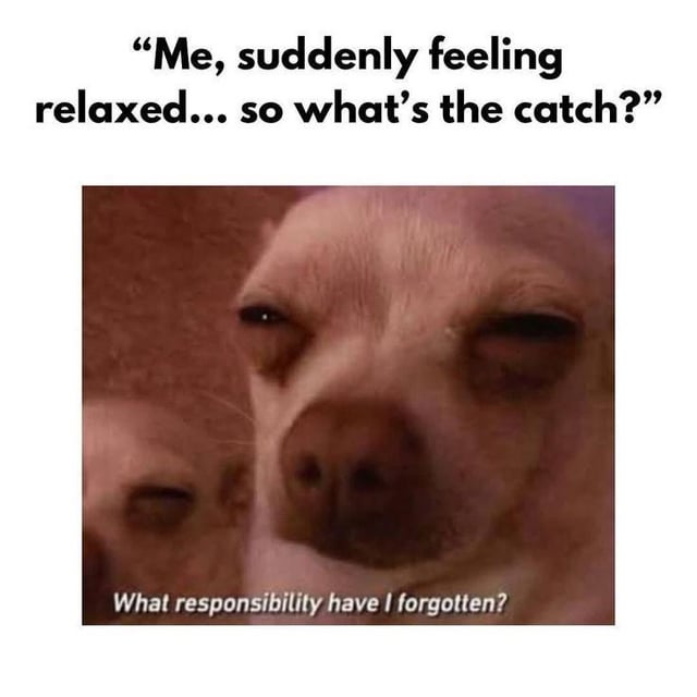 Viral animal photo meme