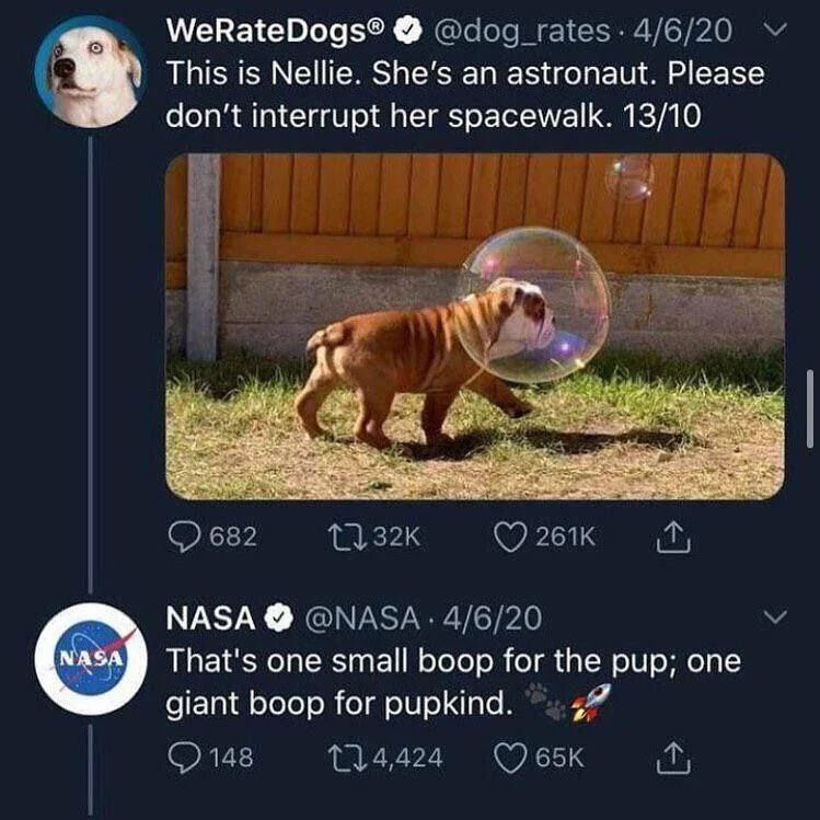 Real Animals