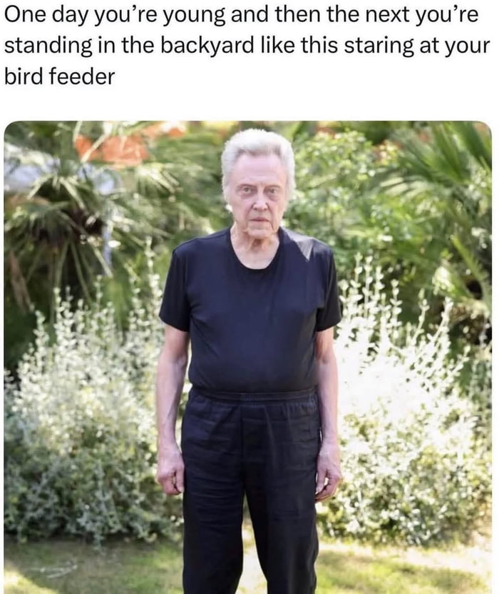 Real Public Figure