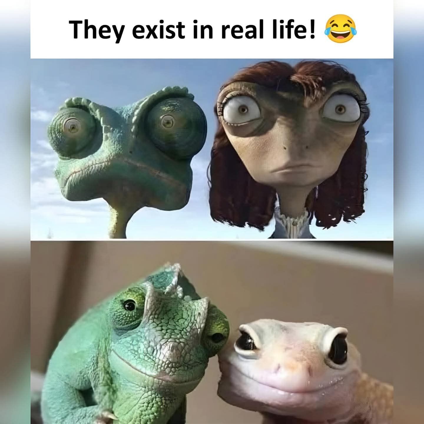 Rango (2011 animated film)