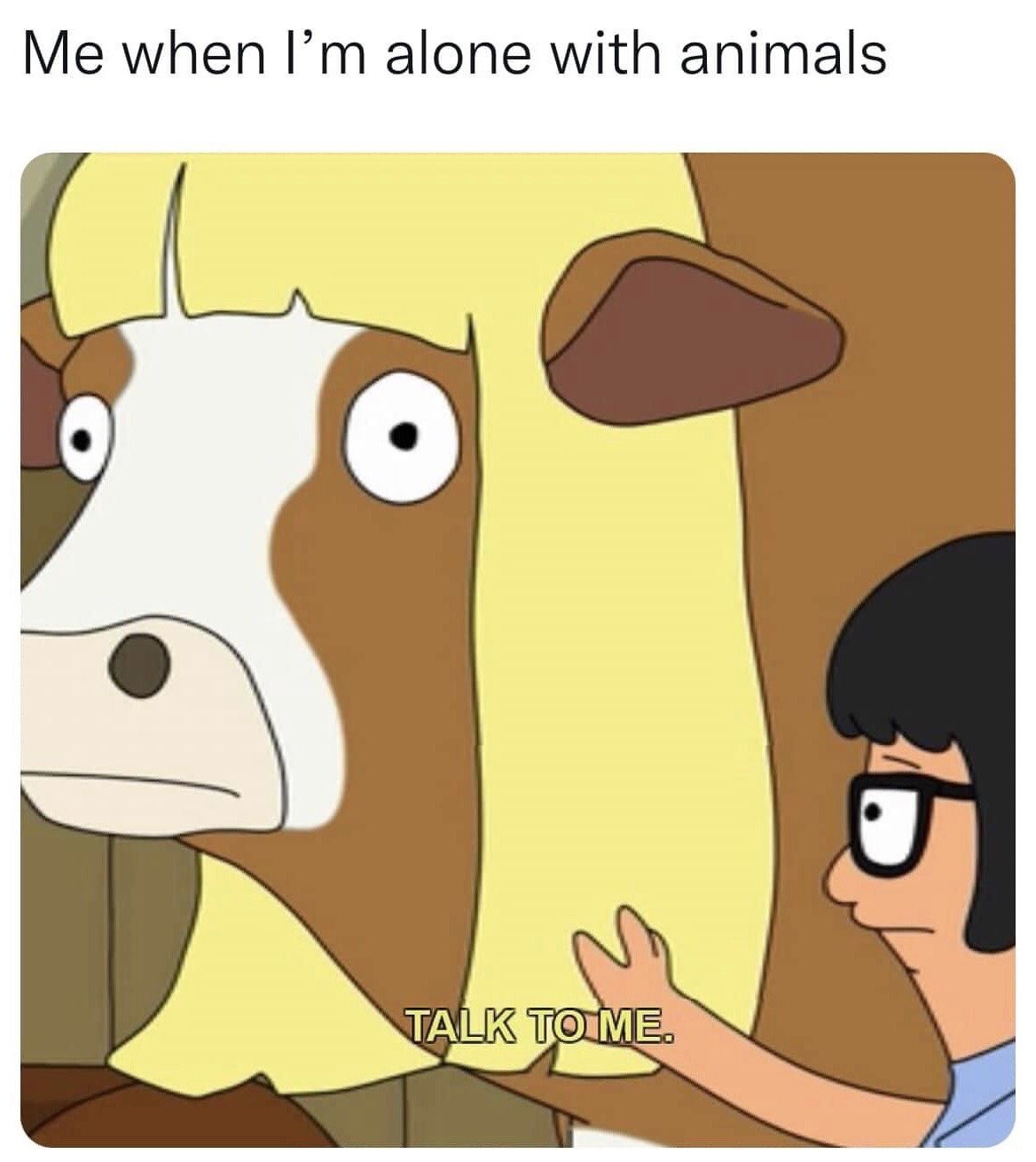 Bob's Burgers