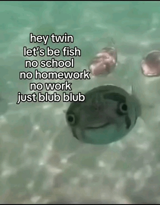 Real animal underwater footage